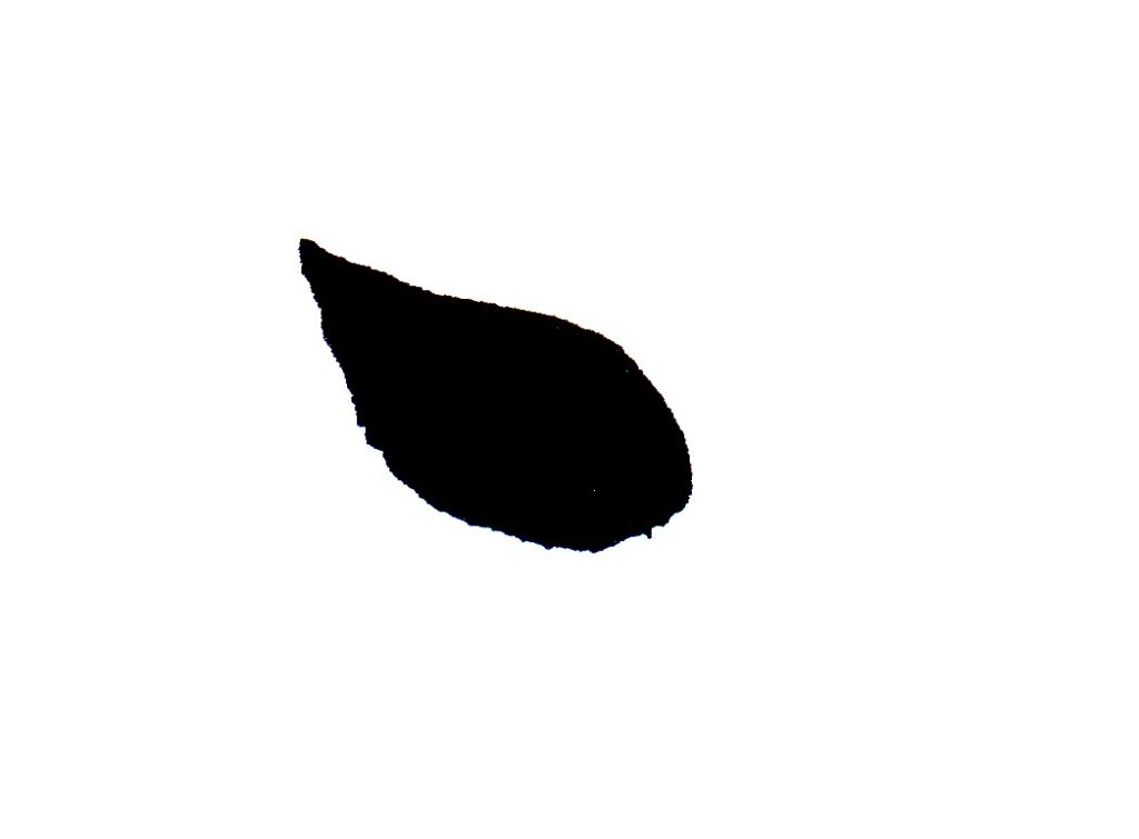 永字八法基本点画